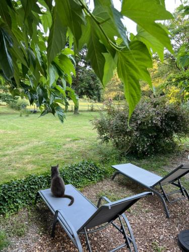 Seignosse Bed & Breakfast | Laguillotte