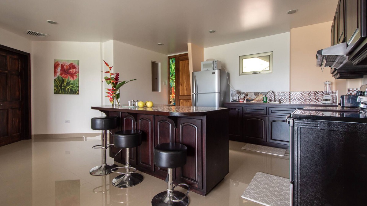 Naranjos Agrios Condo | LAKE ARENAL, POOL VIEWS NEW CONDO 1B/1 B