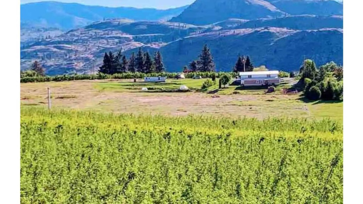 Manson Apartment | Lake Chelan/Manson Studio #4 w/valley & mtn views