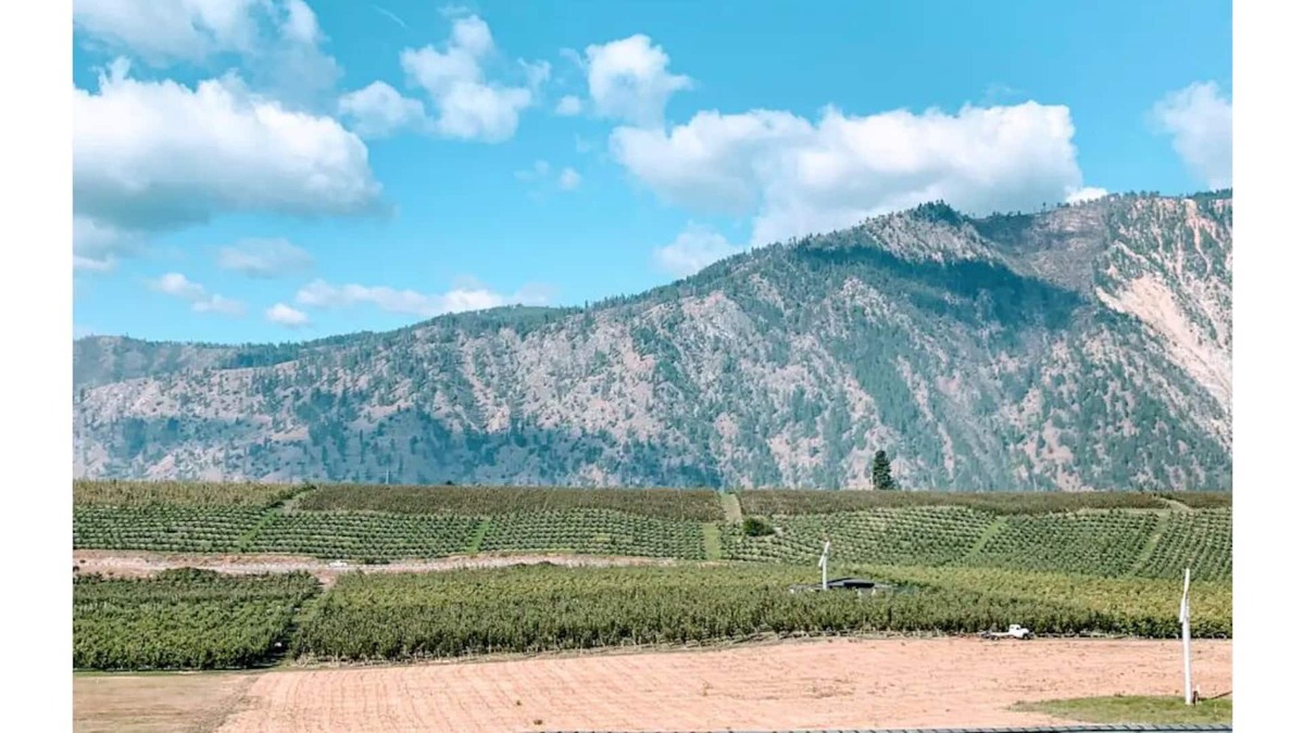 Manson Apartment | Lake Chelan/Manson Studio #1 w/valley & mtn views