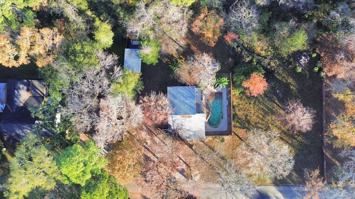 Montgomery House | Lake Conrore Pool Oasis with Tiny Home