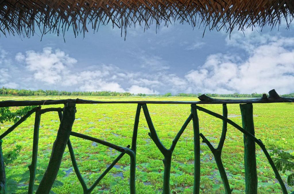 Yodakandiya House | Lake Face Cabana