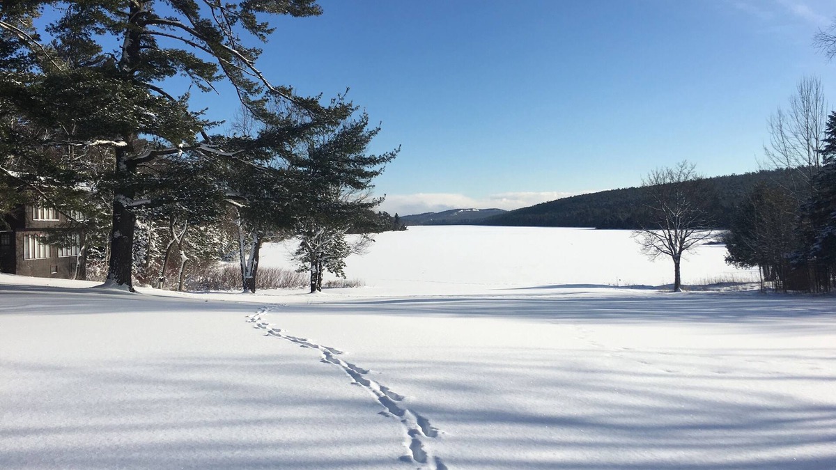 Copper Harbor Condo | Lake Fanny Hooe Resort-2 Bed With Balcony #12 1 Bedroom Hotel Room by RedAwning