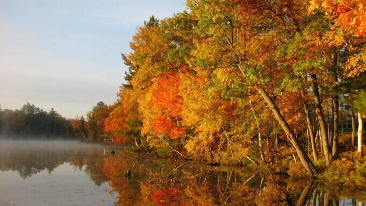 Eagle River Condo | Lake Forest Resort – Relax on a Pristine Sandy Beach in the Northwoods!