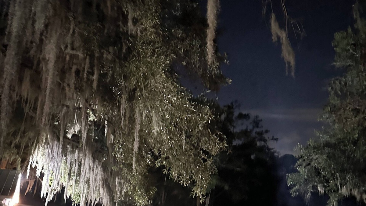 Johns Island House | Lake Front Cottage under the Oaks.