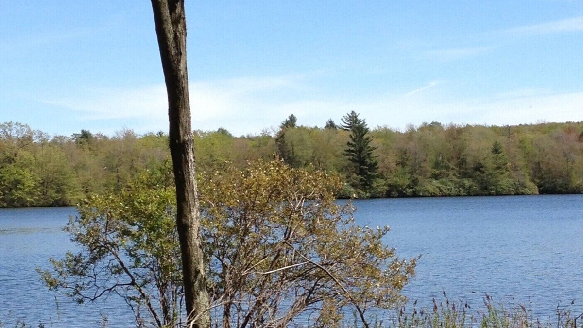 Lake Harmony Condo | Lake front/pool/boating & Big Boulder Ski Resort located in gated community