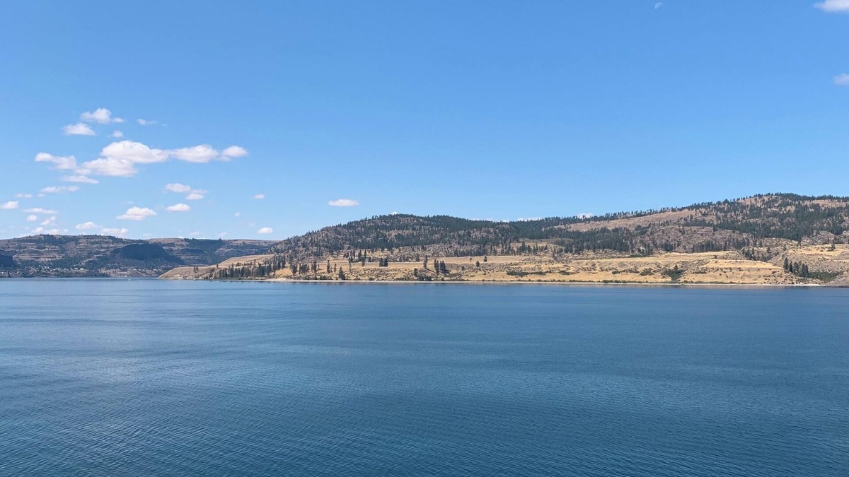 Davenport House | Lake Front with boat parking and easy access to the beach and marina