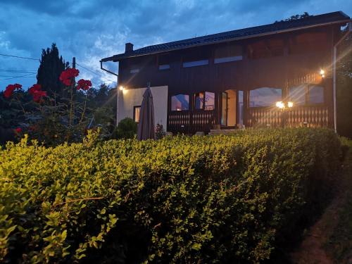 Chiriteni House | Lake House Violeta