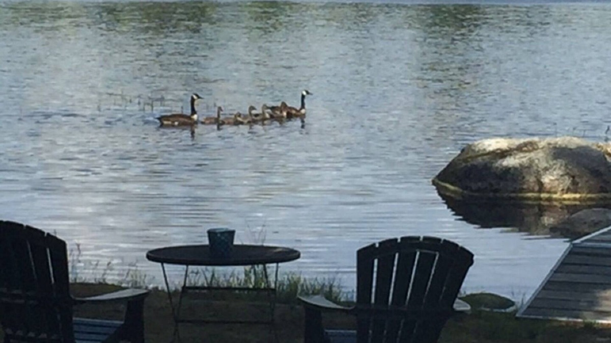 Ellsworth House | Lake Life Lodge- enjoy Maine Lakefront Luxury on Branch Lake! n