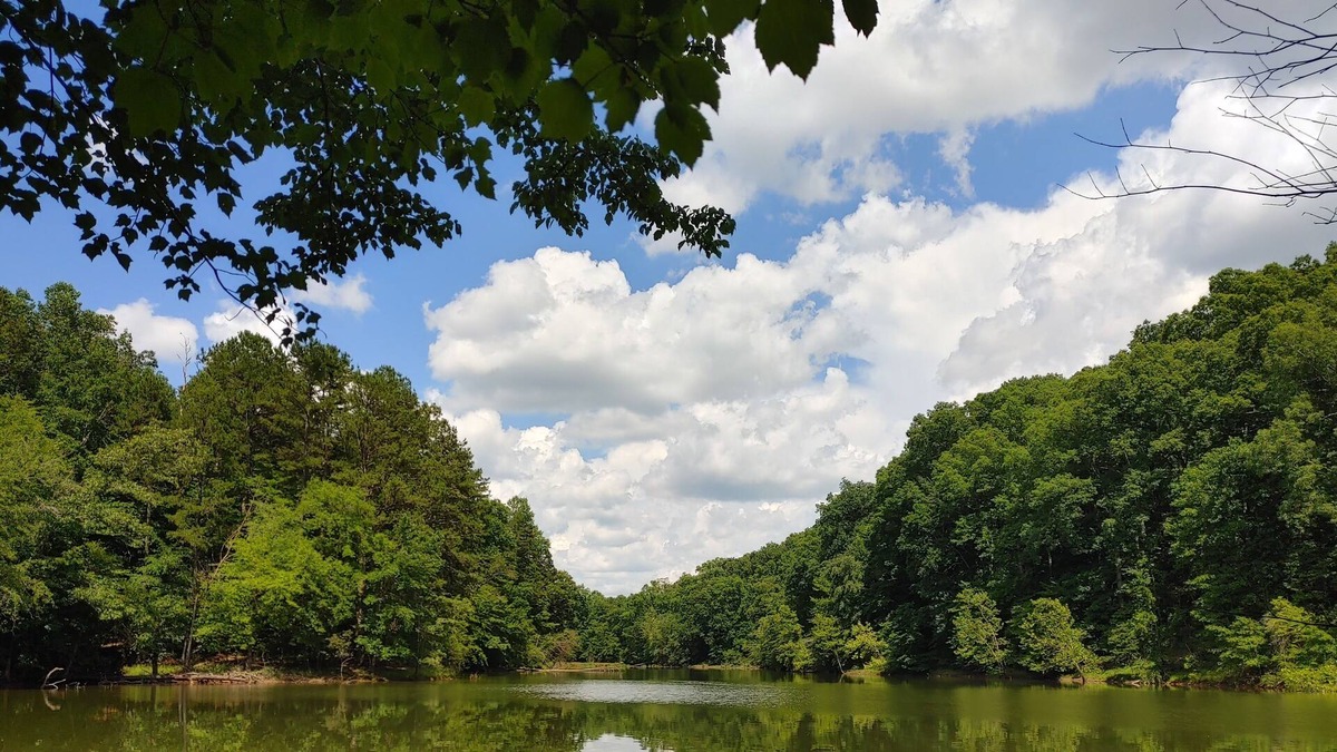 Central Cabin | Lake Lodge -2 miles to downtown and Clemson University