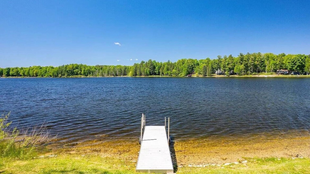 Johannesburg House | Lake Louise Waterfront - Sleeps 8 - Pets Welcome - Kayaks + Snow Trails Nearby