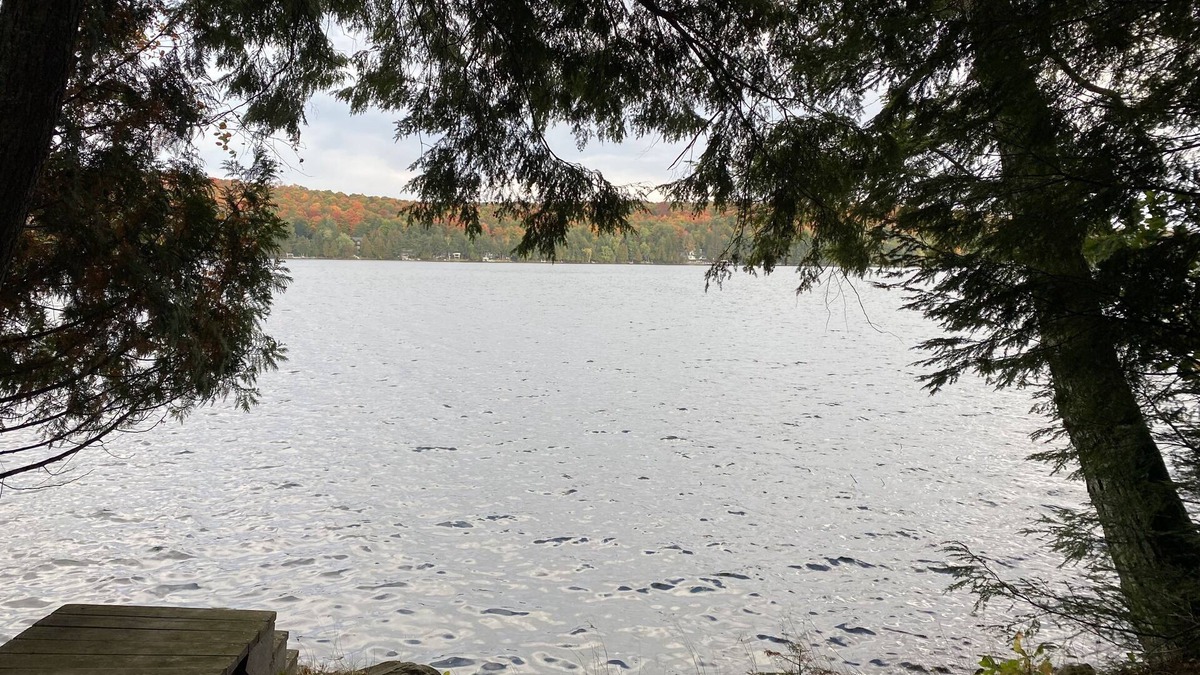 Crandon House | Lake Lucerne Family Getaway, private setting close to town