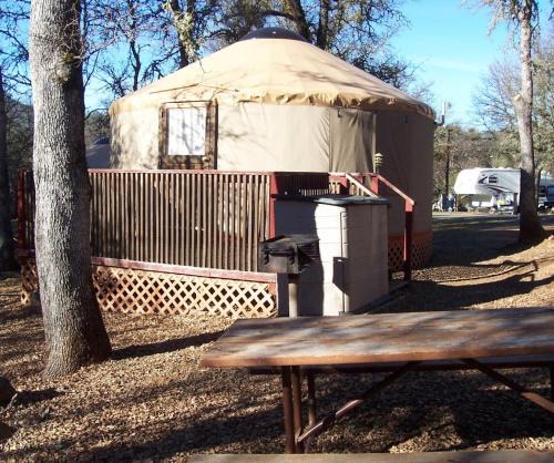 Oregon House Resort | Lake of the Springs Camping Resort Yurt 2
