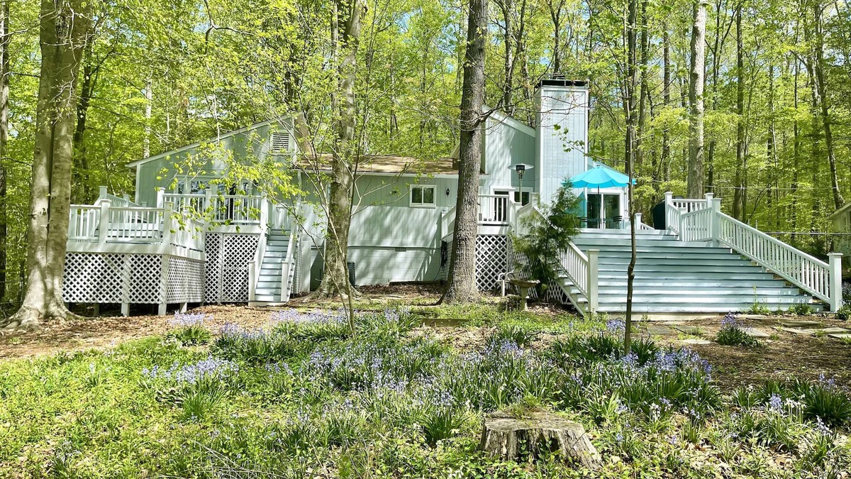 Hillsborough Cottage | Lake Overlook Retreat - 5 acre nature preserve near the Eno River, UNC & Duke