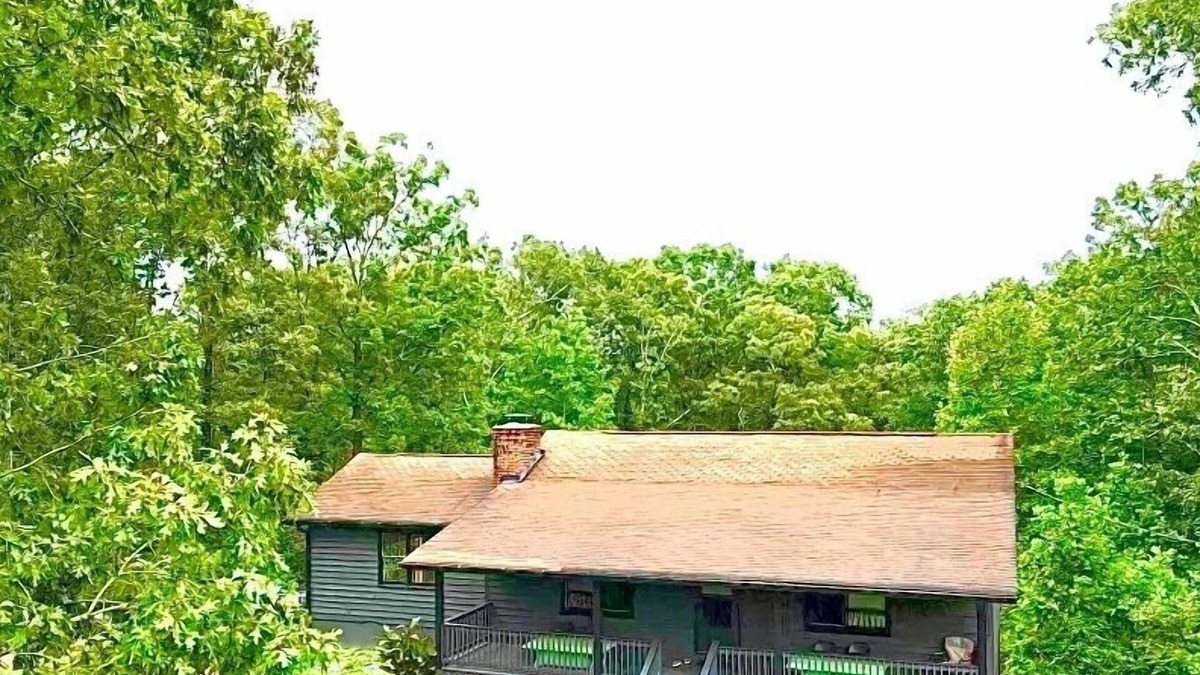 Dewy Rose House | Lake Russell Cabin-Dog-Friendly, Secluded 4 Acres, Minutes to Boat Ramp & Town