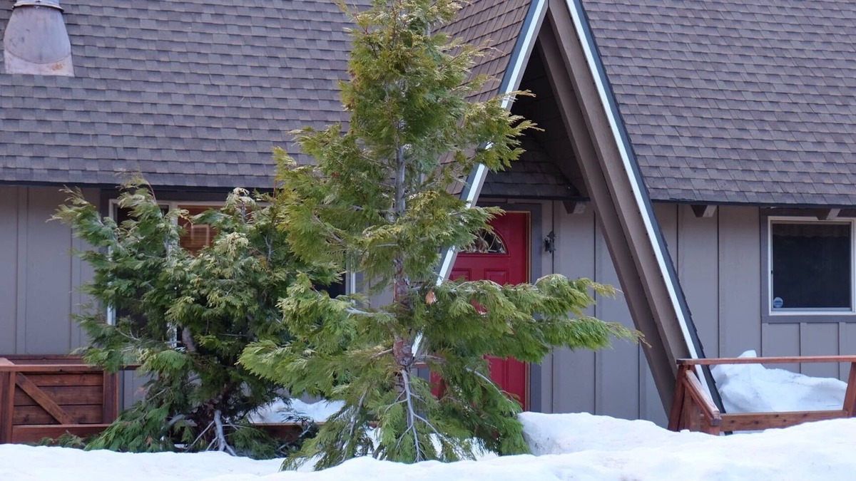 Al Tahoe Cabin | Lake Tahoe gem, 8 minutes to Heavenly, 3 blocks to the Lake and Regan Park