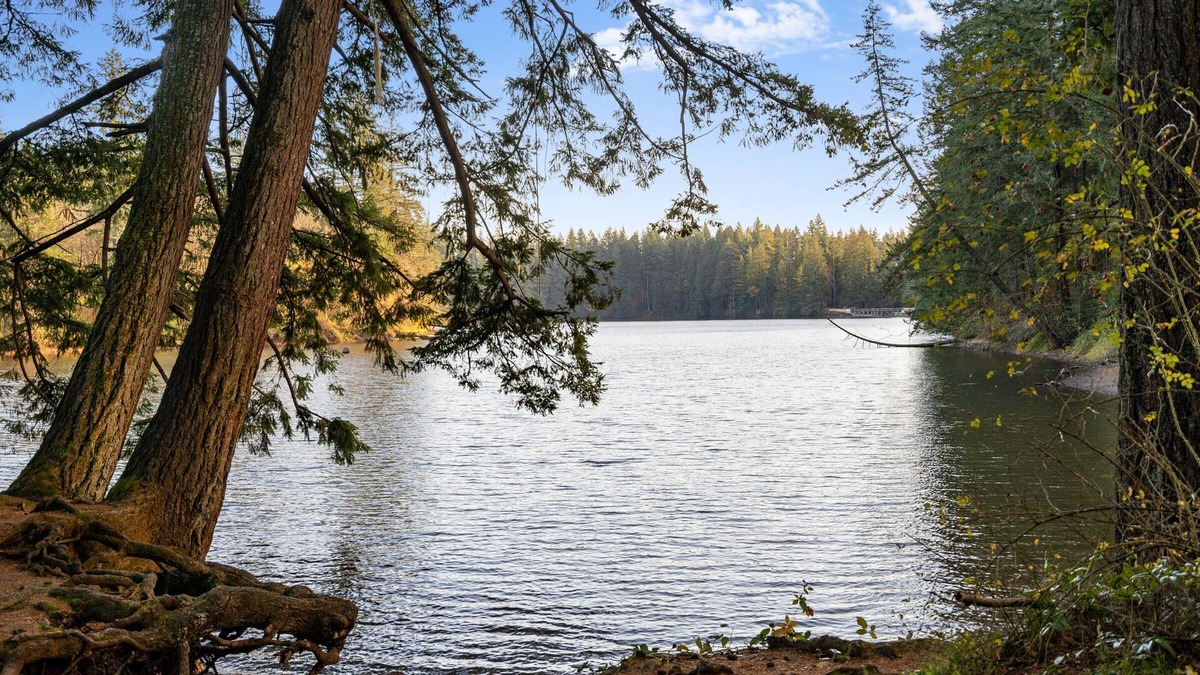 Carver House | Lake View House with Beautiful 4.5 Acres to Explore
