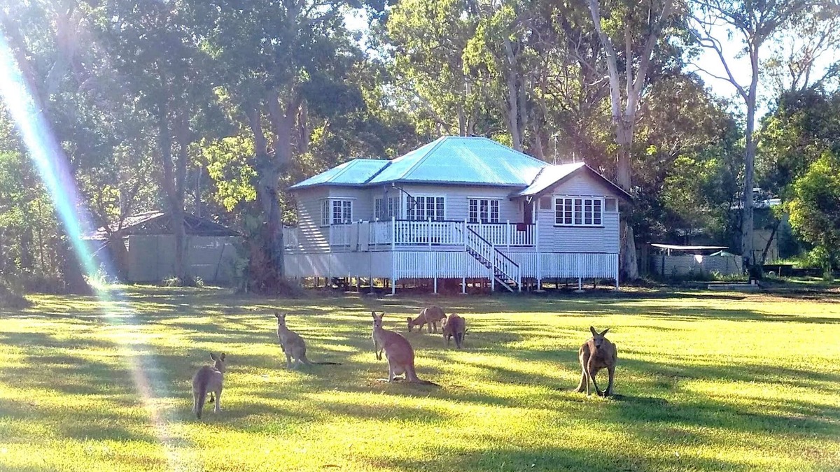 Peregian Beach Cottage | Lake Weyba Noosa Lodge & friendly kangaroos