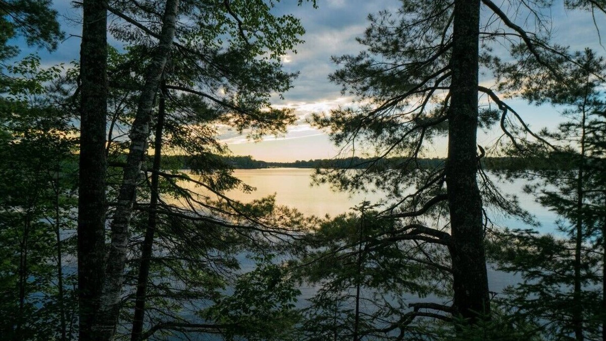 Cable Condo | Lakefront 2BR Condo on Namakagon – Views, Trails, Pontoon Rentals & Fishing!