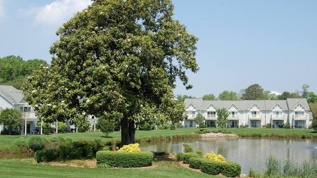 Rehoboth Beach House | Lakefront 3 bedroom townhouse in quiet community with pool