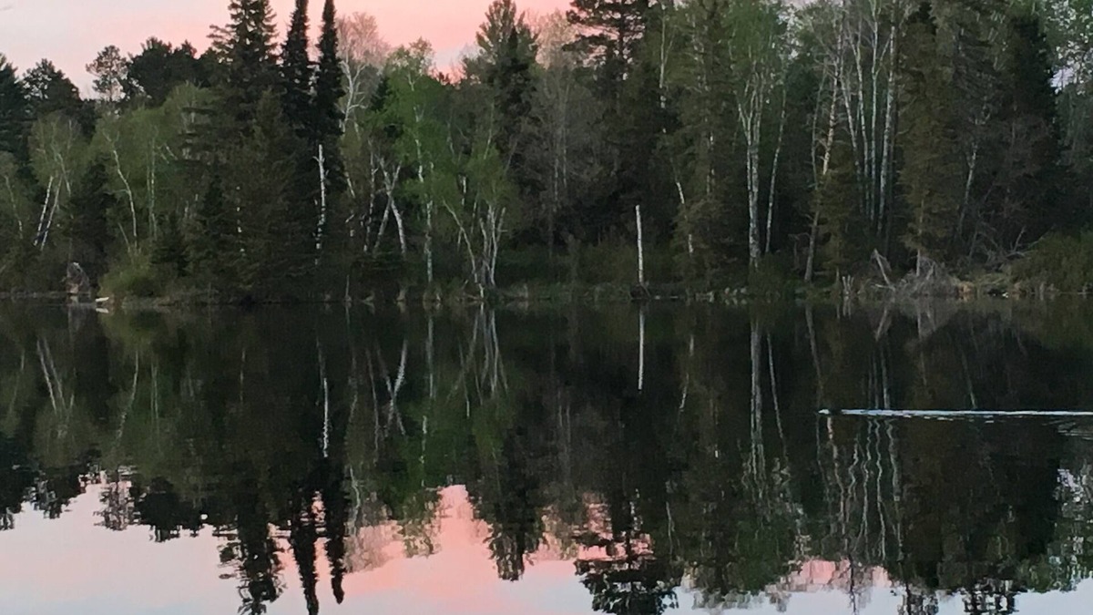 Bemidji Cabin | Lakefront Cabin on a private peninsula on the Mississippi