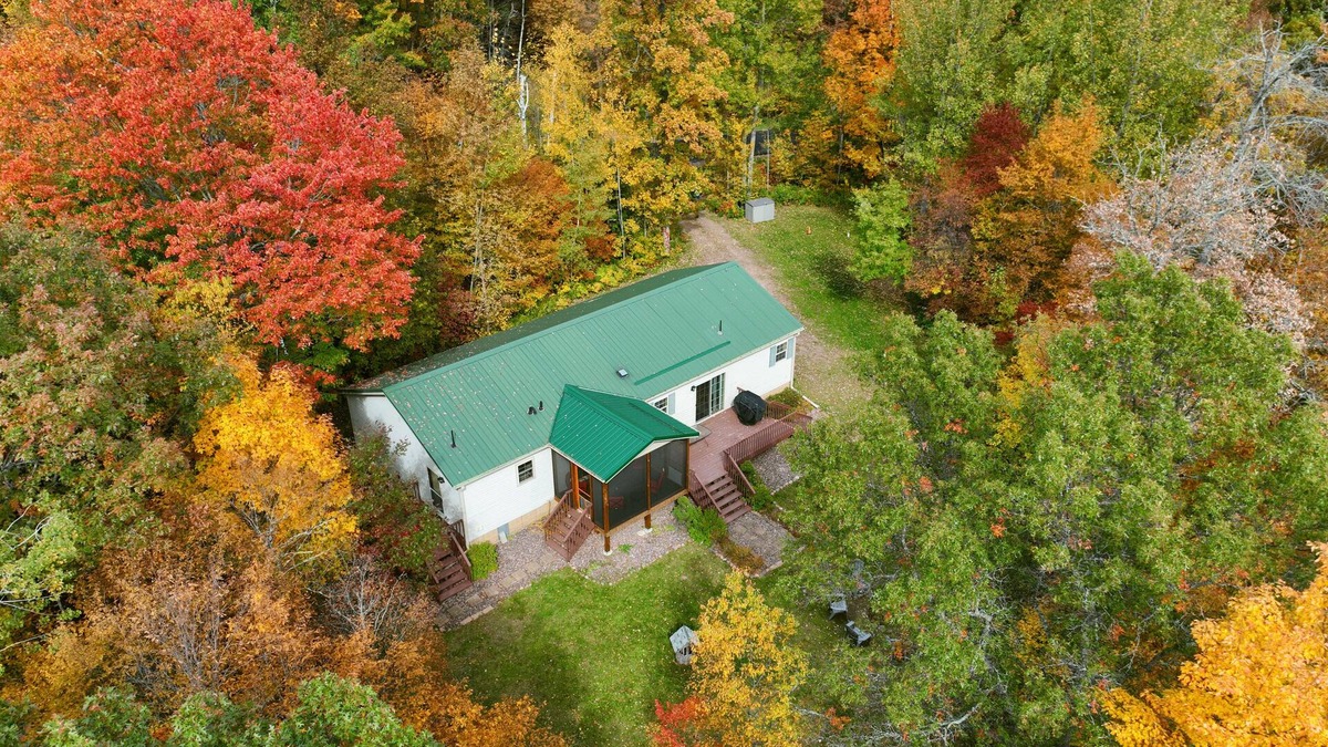 Birchwood Cabin | Lakefront Cabin w Screened Deck! Pontoon Rental! 2 Kayaks/Fishing Row Boat!