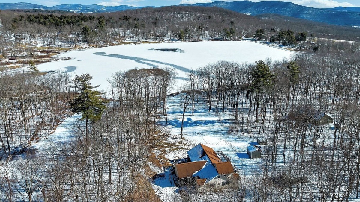 South Kortright Ski Chalet | Lakefront Chalet w/game room 25 min. from skiing & snow tubing. Pet-friendly!