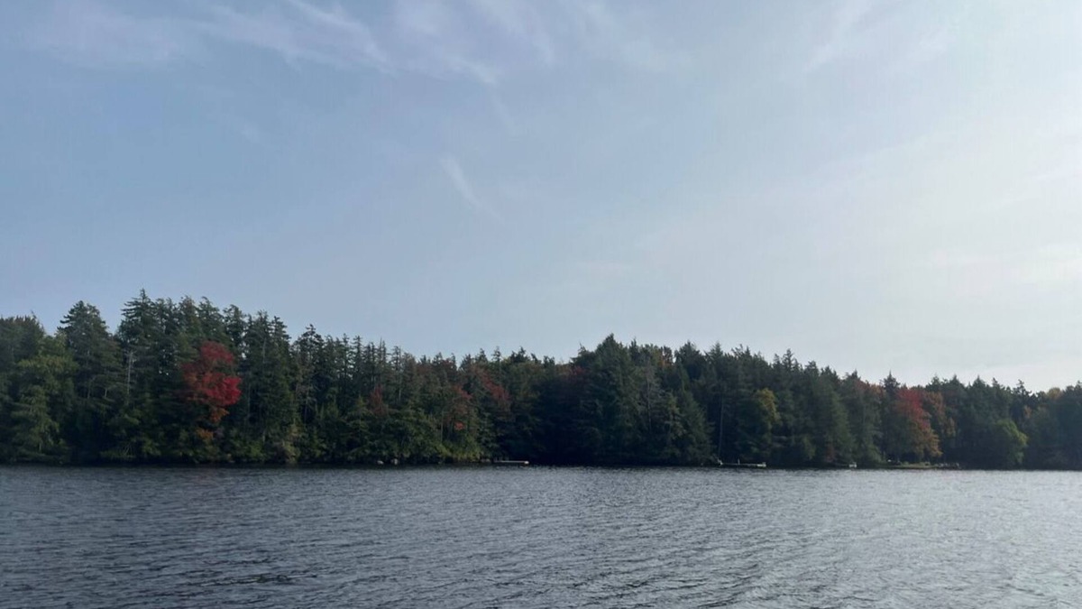 Town of Clifton Cottage | Lakefront Charming 3-bedroom cottage on beautiful Cranberry Lake