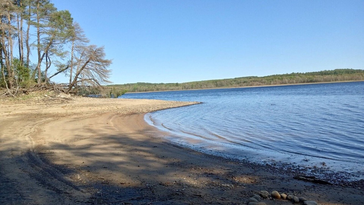 Remsen Cottage | Lakefront Deer Lodge
