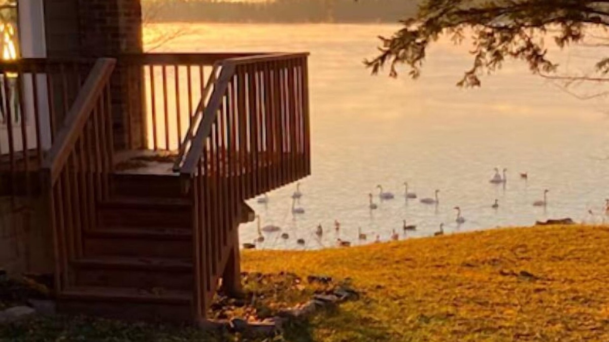 Maple Lake Cabin | Lakefront Getaway: Swim, Boat & Relax!