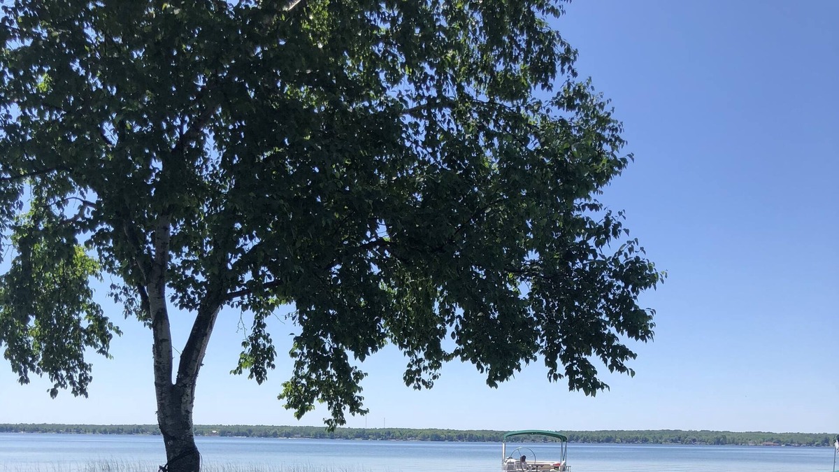 Alpena House | Lakefront getaway w/ treehouse, hot tub, 20 foot pontoon, gym