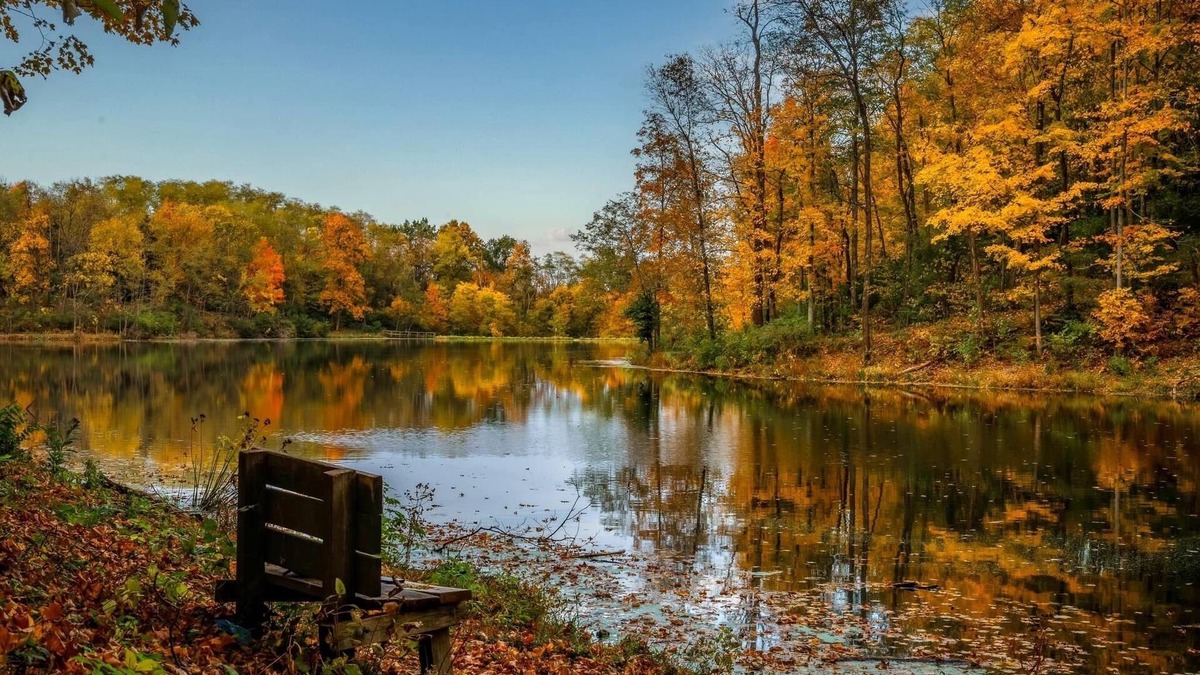 Williamstown House | Lakefront + Hiking Trail + Huge Family Friendly House + near Ark Encounter