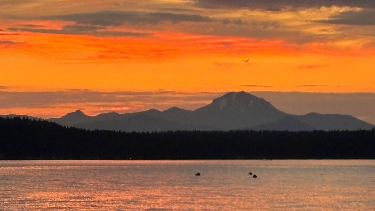 East Shore House | Lakefront Home W/Outstanding Views Of Mt. Lassen, Dock, Buoys and Fishing