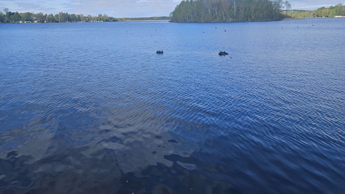 Victoria Road House | Lakefront trailer for rent, in Kawthra Lakes, on 1 acre of land