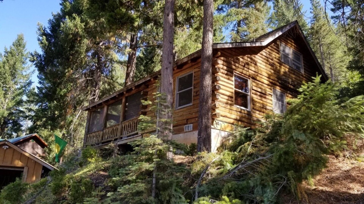 East Shore Cabin | Lakefront views! Rustic Log Cabin Getaway