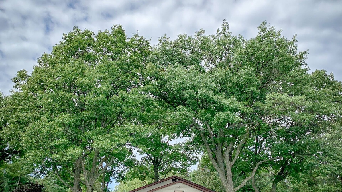 Baxter House | Lakehouse on Whitesand Lake