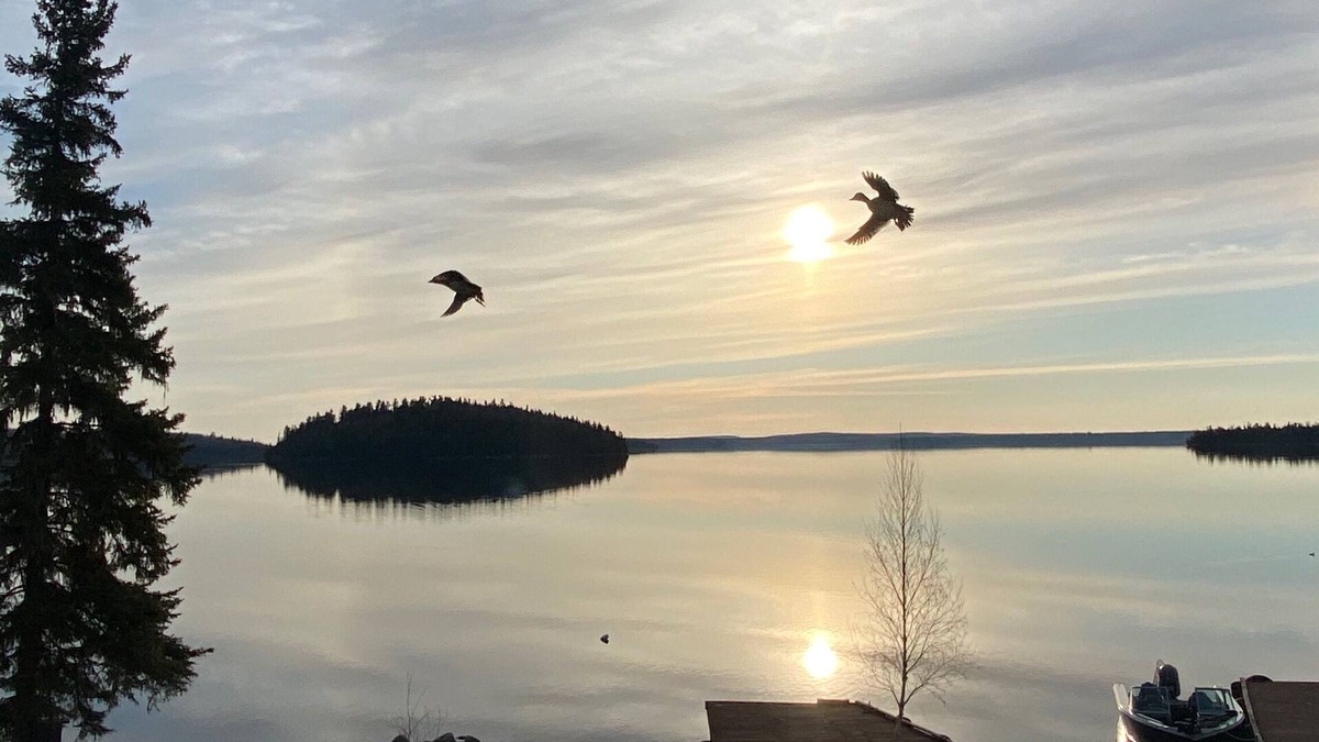 Perrault Falls Apartment | Lakehouse105 Bear Den