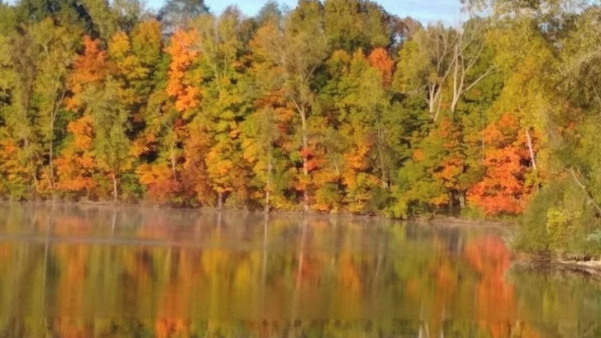 Pioneer House | Lakeshore Escape: 3-bedroom, pet friendly home, 10 min from Turnpike