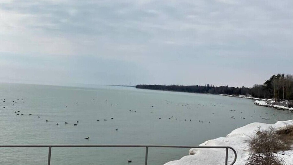 Northumberland County Apartment | Lakeside Breezenn