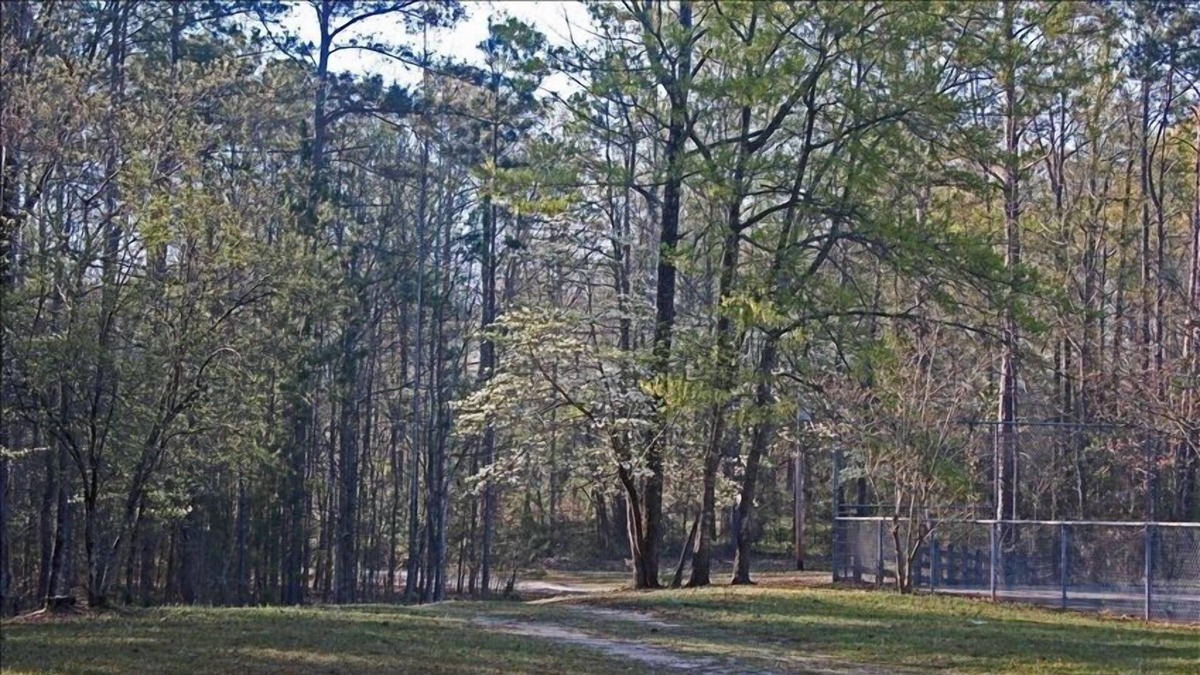 LaGrange Cabin | Lakeside Cabin - Great Fishing & Privacy at its Best!