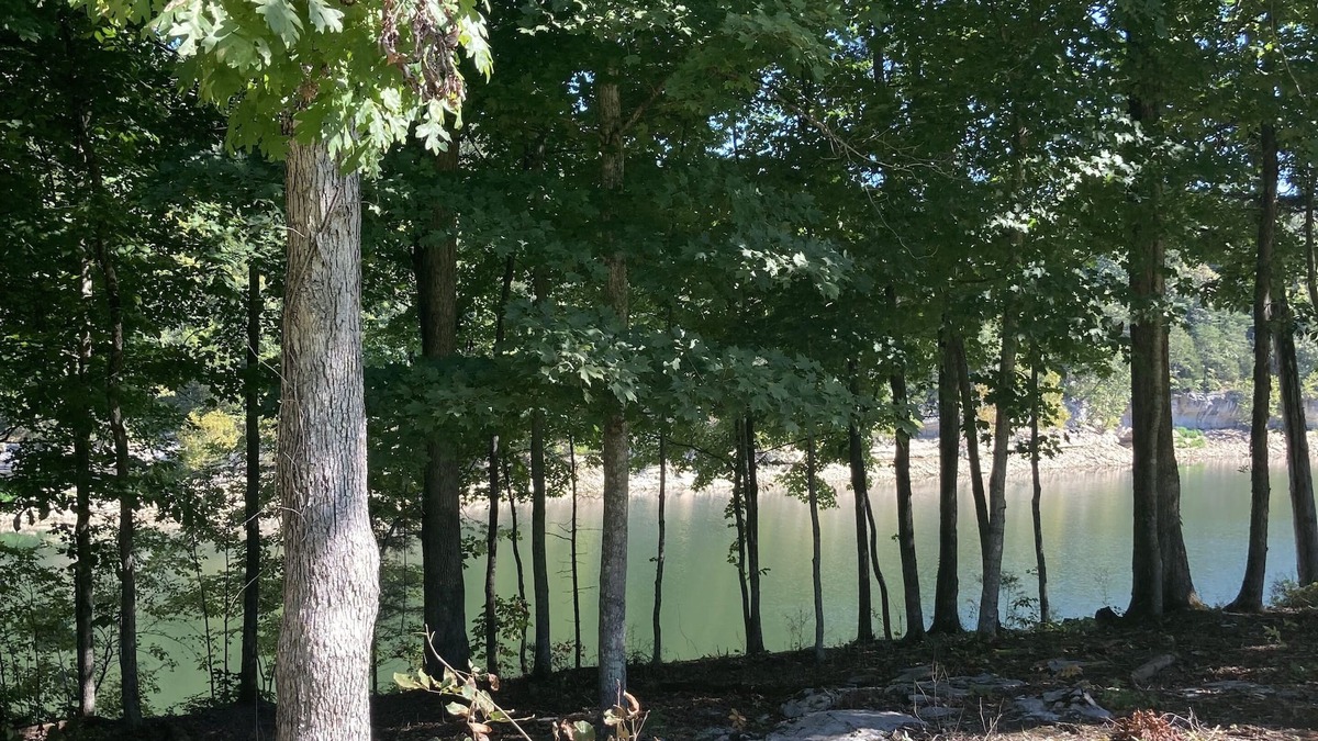 Sloans Valley House | Lakeside Hideaway II - lakefront with hot tub/walk to boat ramp