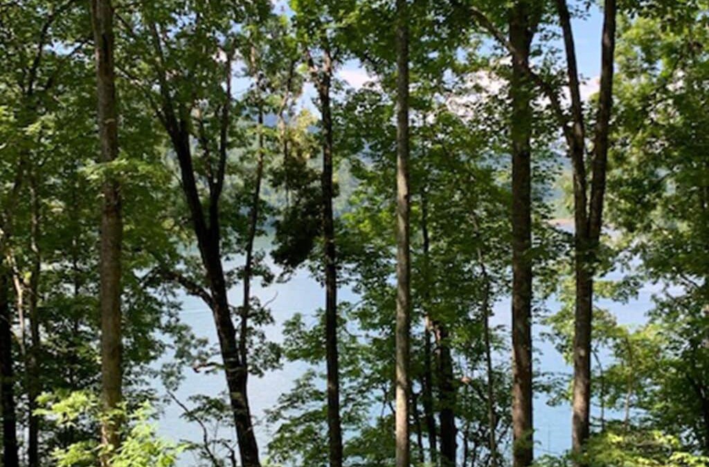 Topton House | Lakeside Mountain Oasis