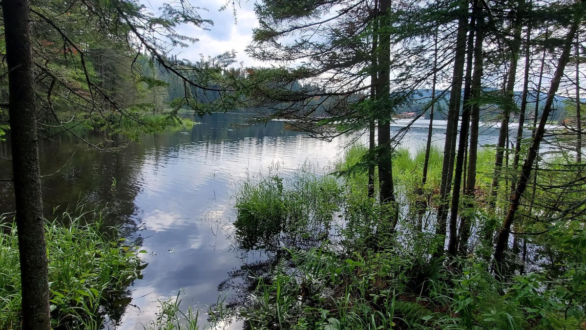Val-des-Lacs Cottage | Lakeside privacy in the middle of nature in the heart of Laurentides