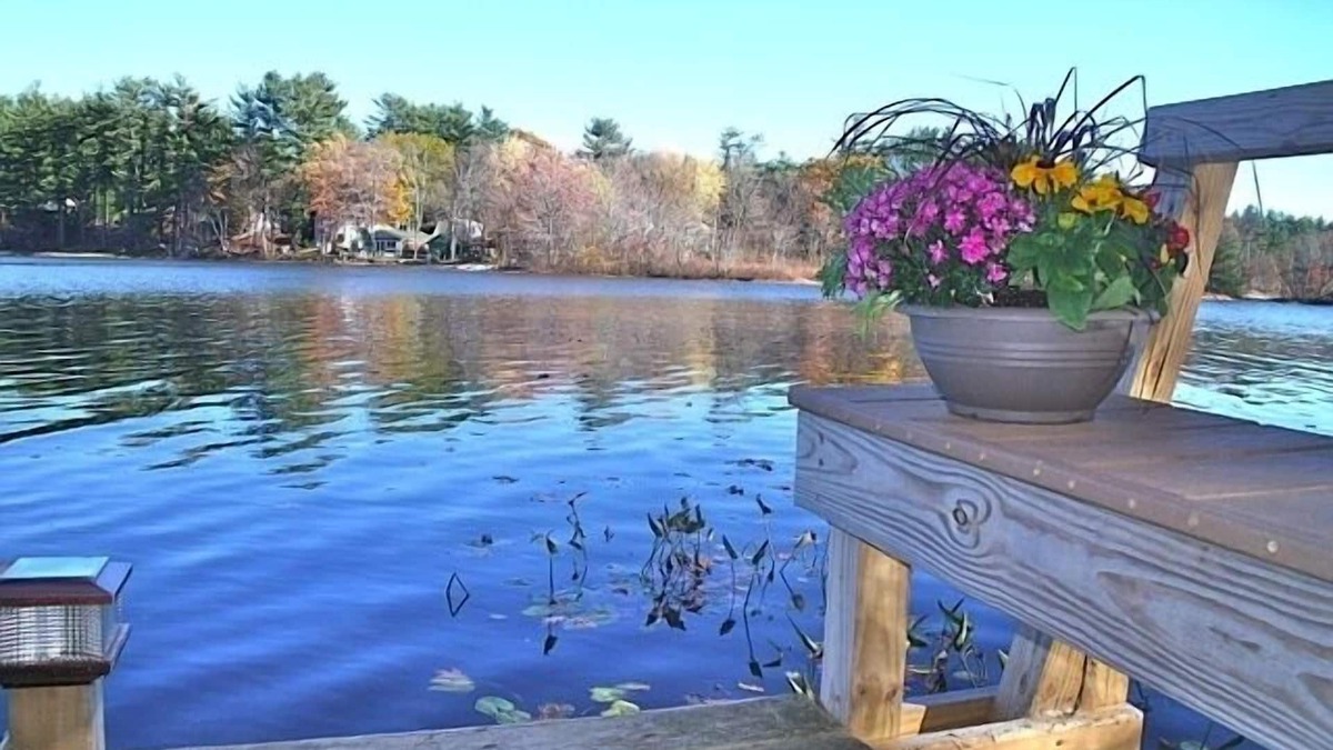 Kingston Apartment | Lakeside Wooded Retreat on Kingston Lake
