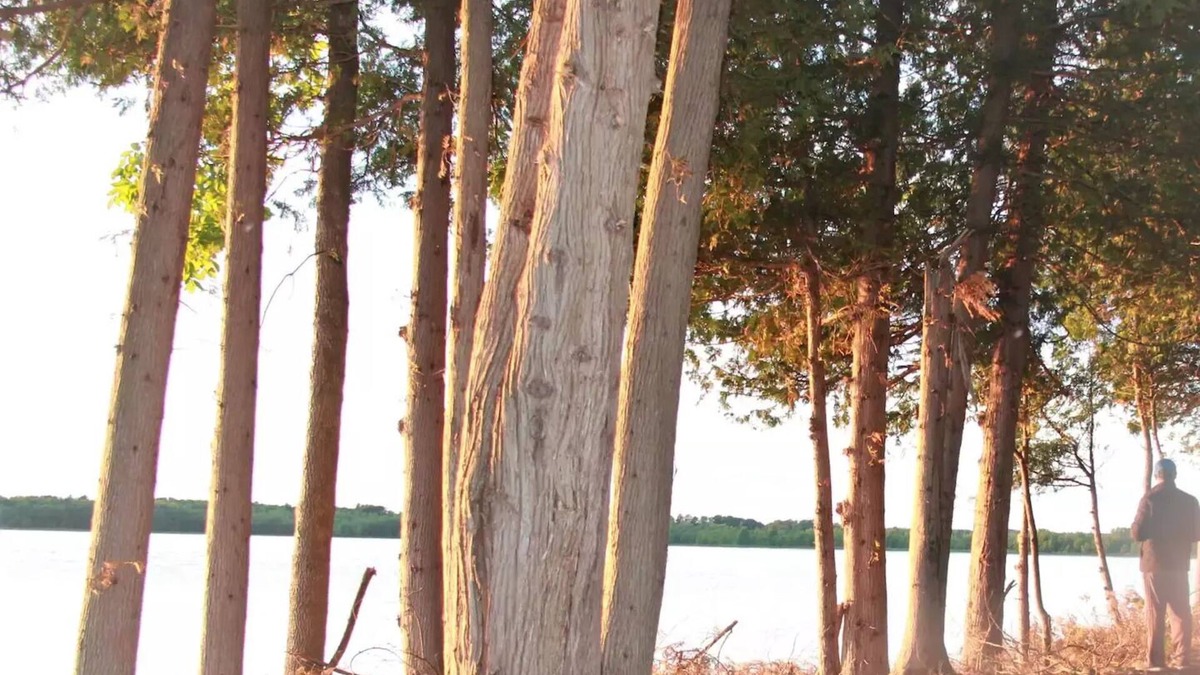 South Bruce Peninsula House | Lakeview campsite G