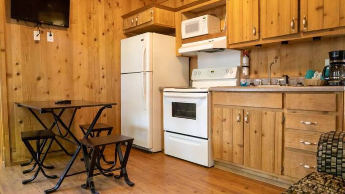 Cadiz Ski Chalet | Lakeview Cozy Chalet 1 - Bring the Dog