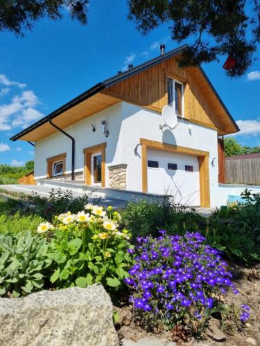 Staszow Apartment | Laki house