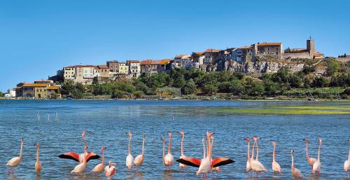 Bages Bed & Breakfast | Lalagunebages, Panoramic View