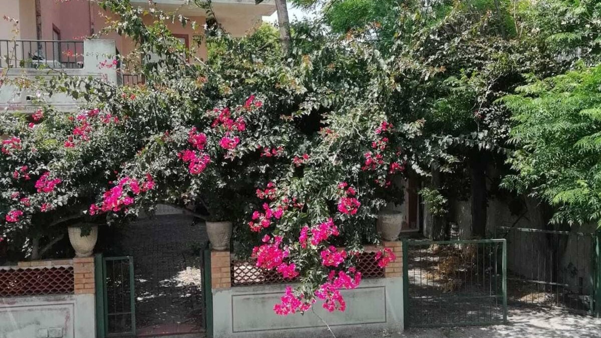 Crucoli House | lamanna house pink building