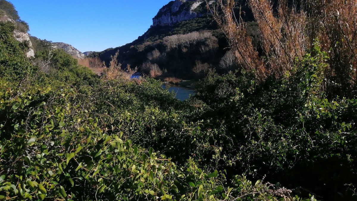Notre-Dame-de-la-Rouviere Apartment | Lamedoune, apartment with swimming pool in the heart of the southern Cévennes